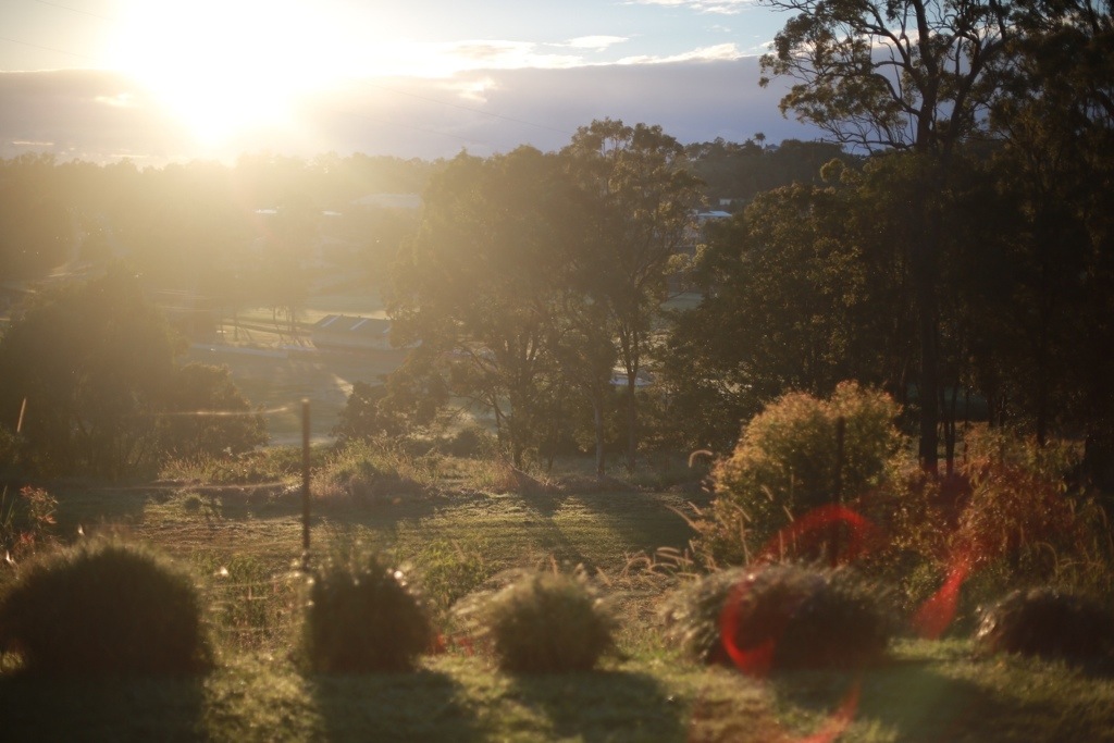 20130713-135723.jpg
